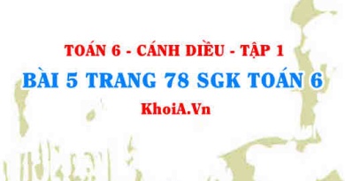 Bài 5 trang 78 SGK Toán 6 tập 1 Cánh Diều